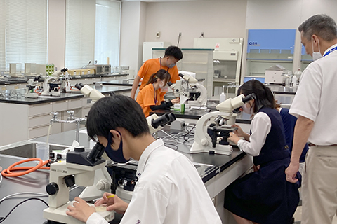 ナノ物質工学科