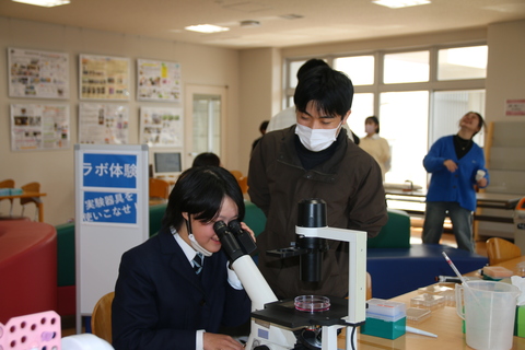 薬学部